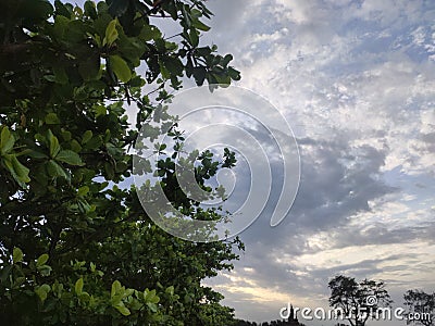 Green's in Nature, clouds in sky Stock Photo