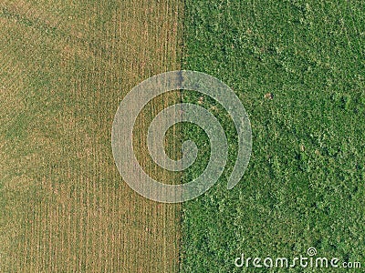 Farmland overlook by drone DJI mavic mini Stock Photo
