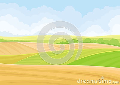 Green and yellow fields. Vector illustration on white background. Vector Illustration
