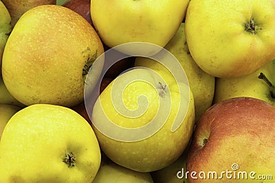 Green, yellow and red apples Stock Photo