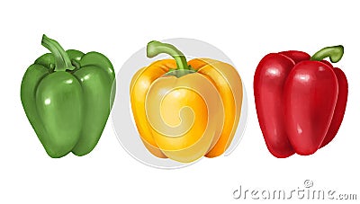 Green, yellow and red bell pepper, hand drawn illustration Cartoon Illustration