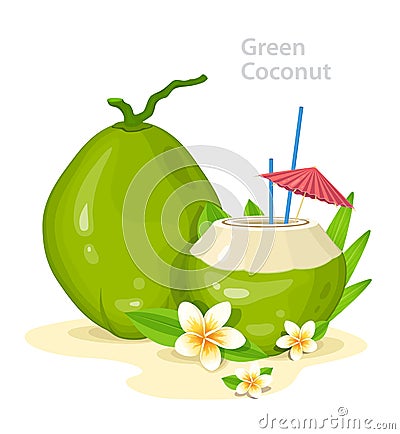 Green Young Coconuts. Fresh Coconut Cocktail with Plumeria Flowers, straws and Umbrella. Summer Time Vacation Attribute Vector Illustration