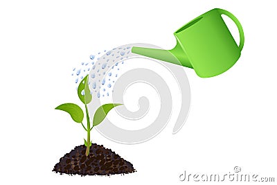 Green Young plant with watering can. Vector Vector Illustration