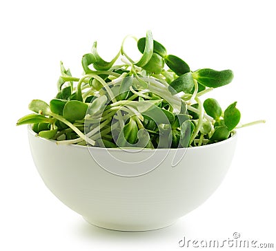 Green young sunflower sprouts in the bowl on white bac Stock Photo