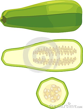 Green zucchini in cut in half inside longitudinal and cross section Stock Photo