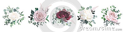 Greenery, burgundy red and white peony, blush rose flowers vector Vector Illustration