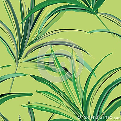 Greenery fresh palm background design. Tropical leaf various banana or coconut jungle, rainforest wild realistic illustration Vector Illustration