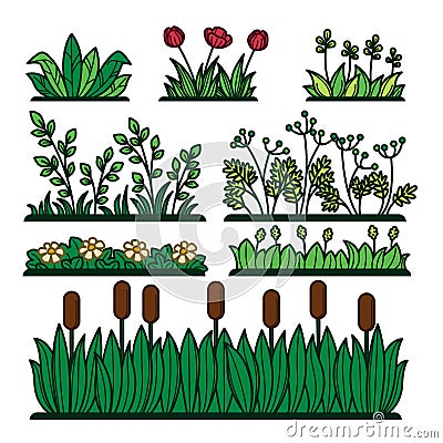 Greenery green grass flower plants and decorative verdure. Vector Illustration