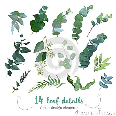 Greenery leaves vector big collection Vector Illustration