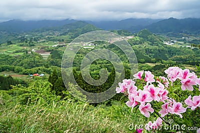 Greenery mountain panorama and town view from afar with pink flo Stock Photo