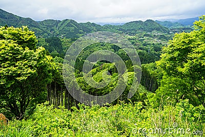 Greenery mountain panorama and town view from afar with spring t Stock Photo
