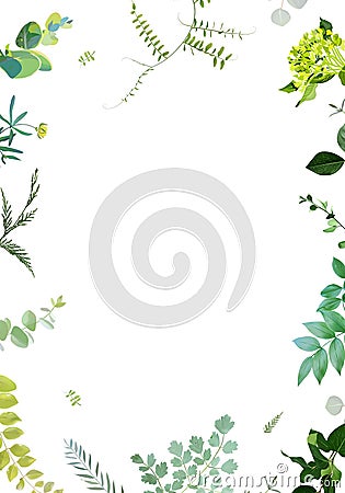 Greenery, plants and hydrangea vector design square invitation frame Vector Illustration