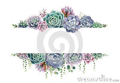 Greenery, succulent and branches frame border on white background. Beautiful template for invite or greeting card, banner. All Vector Illustration