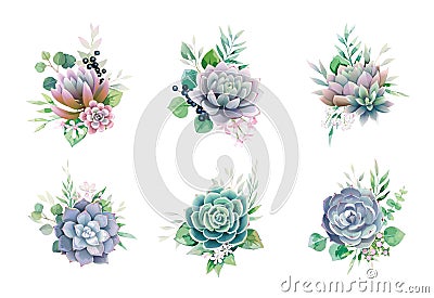 Greenery and succulent, romantic bouquets for wedding invite or greeting card. element set. Vector Illustration