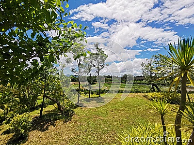 The Greenery view and blue sky inThailand Stock Photo