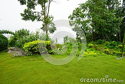 Greenery View of Lungchok, A offbeat Village of East Sikkim Stock Photo