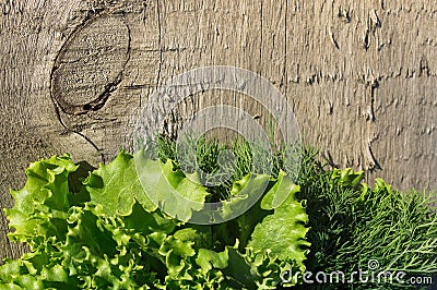 Greenery on wooden background Stock Photo