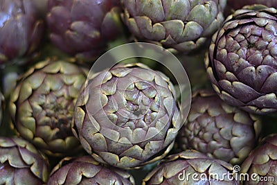 Beautiful artichokes Ready to be cooked excellent for detoxification of the human organism Stock Photo