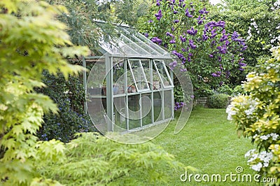 Greenhouse In Back Garden Stock Photo