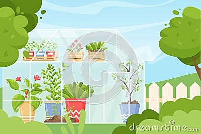 Greenhouse background. Cartoon green spring garden with glass house and pots with plants and flowers, garden work Vector Illustration