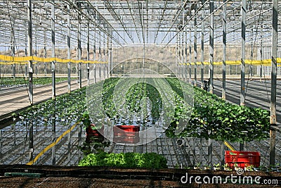 Greenhouse Editorial Stock Photo