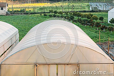 Greenhouse in a Field Stock Photo