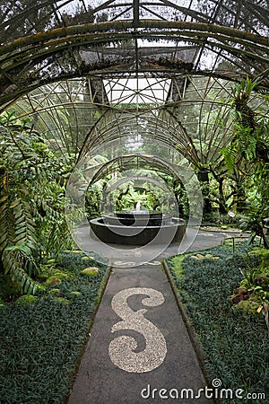 Greenhouse with fountain, green plants and glass roof. Stock Photo