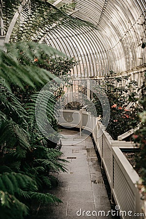 Greenhouse full of many kinds of green plants and flowers of many colors located in Botanical Garden of Dublin, Ireland Stock Photo