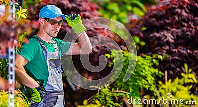 Greenhouse Garden Worker Stock Photo