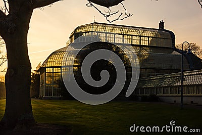 Greenhouse. National Botanic Gardens. Dublin. Ireland Stock Photo