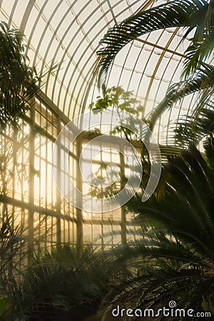 Greenhouse. National Botanic Gardens. Dublin. Ireland Stock Photo