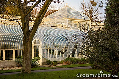 Greenhouse. National Botanic Gardens. Dublin. Ireland Stock Photo