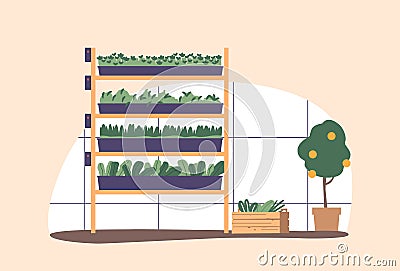 Greenhouse Place for Cultivating Green Plants In A Controlled Environment, Ensuring Optimal Growth Conditions Vector Illustration