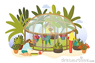 Greenhouse with plant, vector illustration, flat woman man people character gardening plant, growing nature in flower Vector Illustration