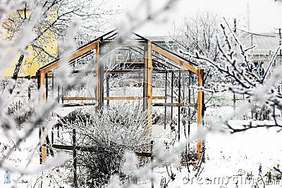 Greenhouse in the snow. Trees in the snow. First snow. Winter. Cold. December. White. Garden Stock Photo