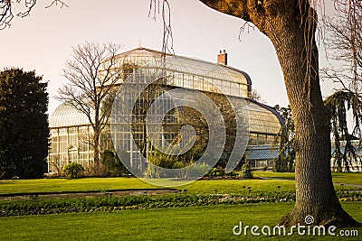 Greenhouse. National Botanic Gardens. Dublin. Ireland Stock Photo