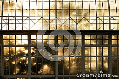 Greenhouse. National Botanic Gardens. Dublin. Ireland Stock Photo