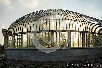 Greenhouse. National Botanic Gardens. Dublin. Ireland Stock Photo