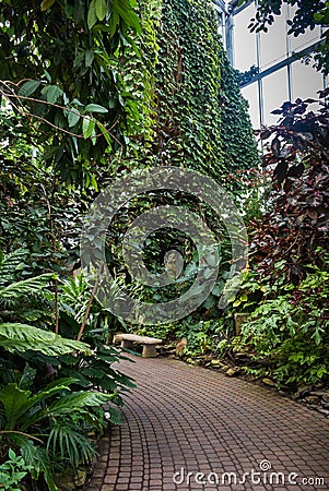 Greenhouse with tropical plants Stock Photo