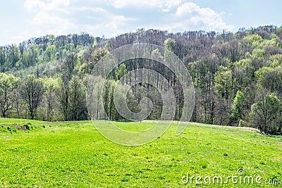 Greening fields and forests in April Stock Photo