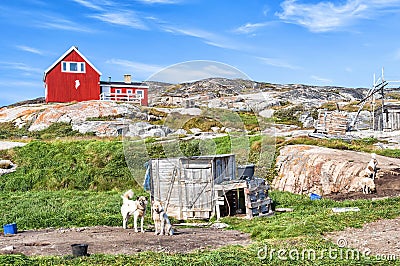 Greenland Dogs resting in Rodebay settlement, Greenland Stock Photo