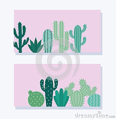 greens cactus cards Vector Illustration