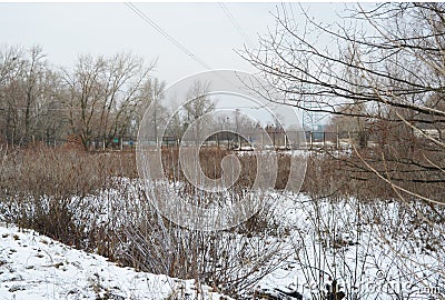 The greens under the snow 17 Stock Photo