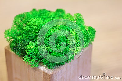 Greens on a wooden table decoration Stock Photo