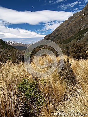 Greenstone track Stock Photo