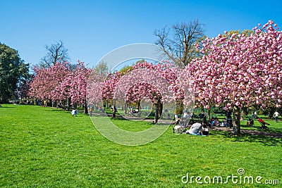 Greenwich park, London UK Editorial Stock Photo