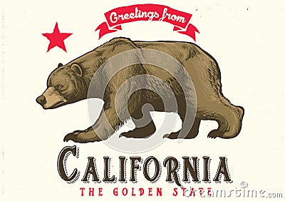 Greeting from california with brown bear Vector Illustration
