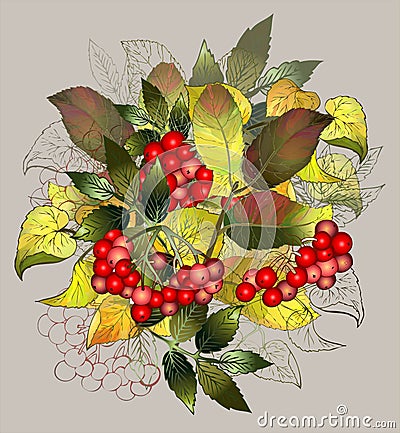 Greeting card with autumn berries and leaves. Autumn illustration. Vector Illustration