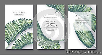 Tropical, trendy, greeting or invitation card, template design with green palm leaves. Vector Illustration