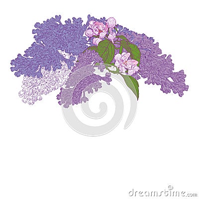 Greeting Card with Blooming Lilac and Apple Tree Vector Illustration